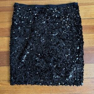 Ann Taylor Sequin Skirt Size 0